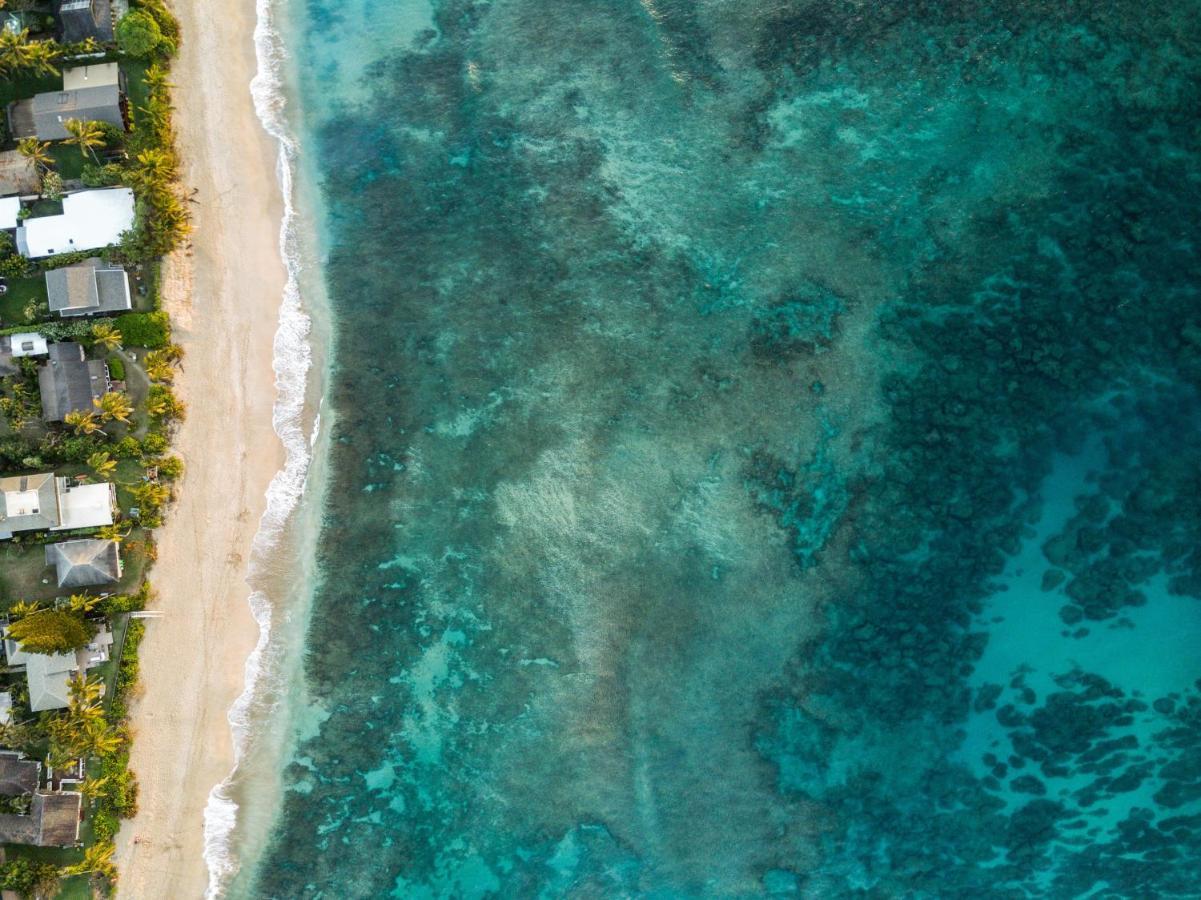 Hummingbird Oceanfront Cottage Hau'ula Exterior foto